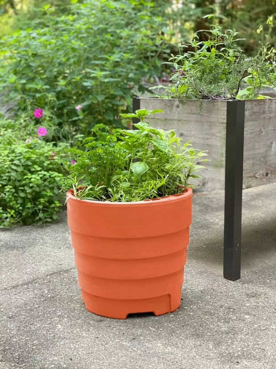 Planters & Raised Beds * | Gsc Gardener'S Victory Self-Watering Patio Planter