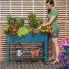 Planters & Raised Beds * | Gsc Demeter Elevated Raised Bed