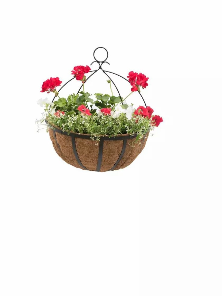 Planters & Raised Beds * | Gsc Aquasav Oxford Wall Planter, 18