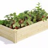 Planters & Raised Beds * | Gsc Pine Raised Garden Bed, 2'X4'X10.5 High