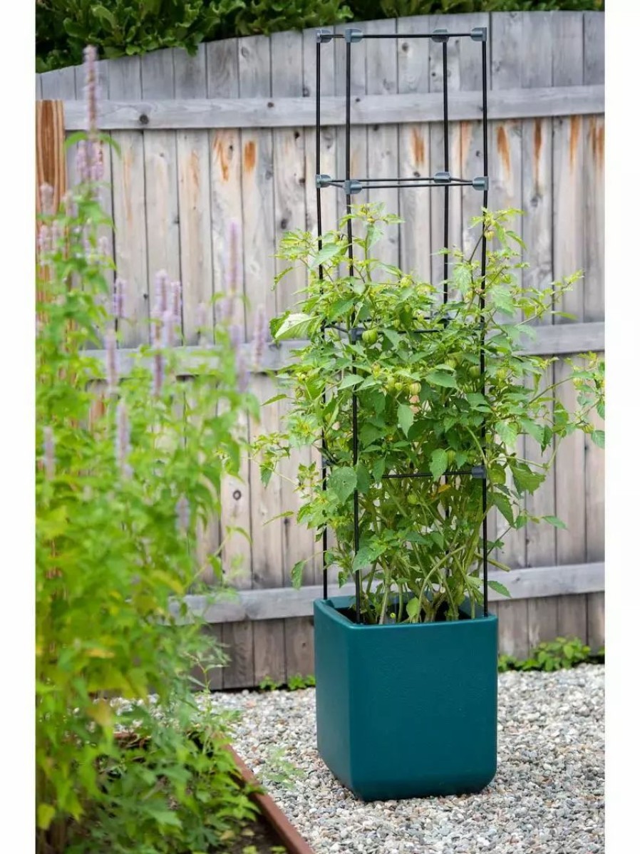 Plant Supports * | Gsc Oasis Trellis Extension