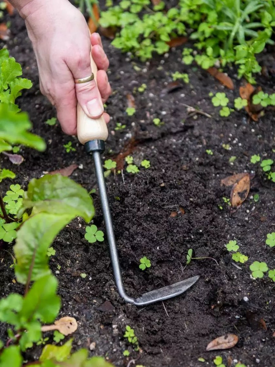 Garden Tools * | Gsc Gardener'S Lifetime Cape Cod Weeder, Right-Handed