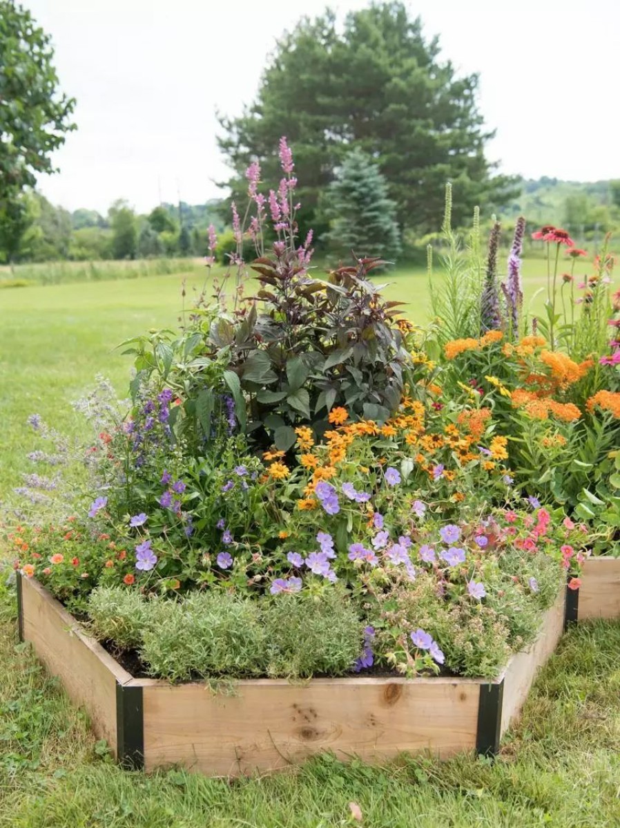 Planters & Raised Beds * | Gsc Pollinator Garden Bed