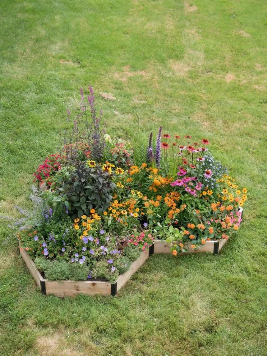 Planters & Raised Beds * | Gsc Pollinator Garden Bed