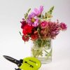 Home & Kitchen * | Gsc Gardener'S Pro Palm-Fit Snips