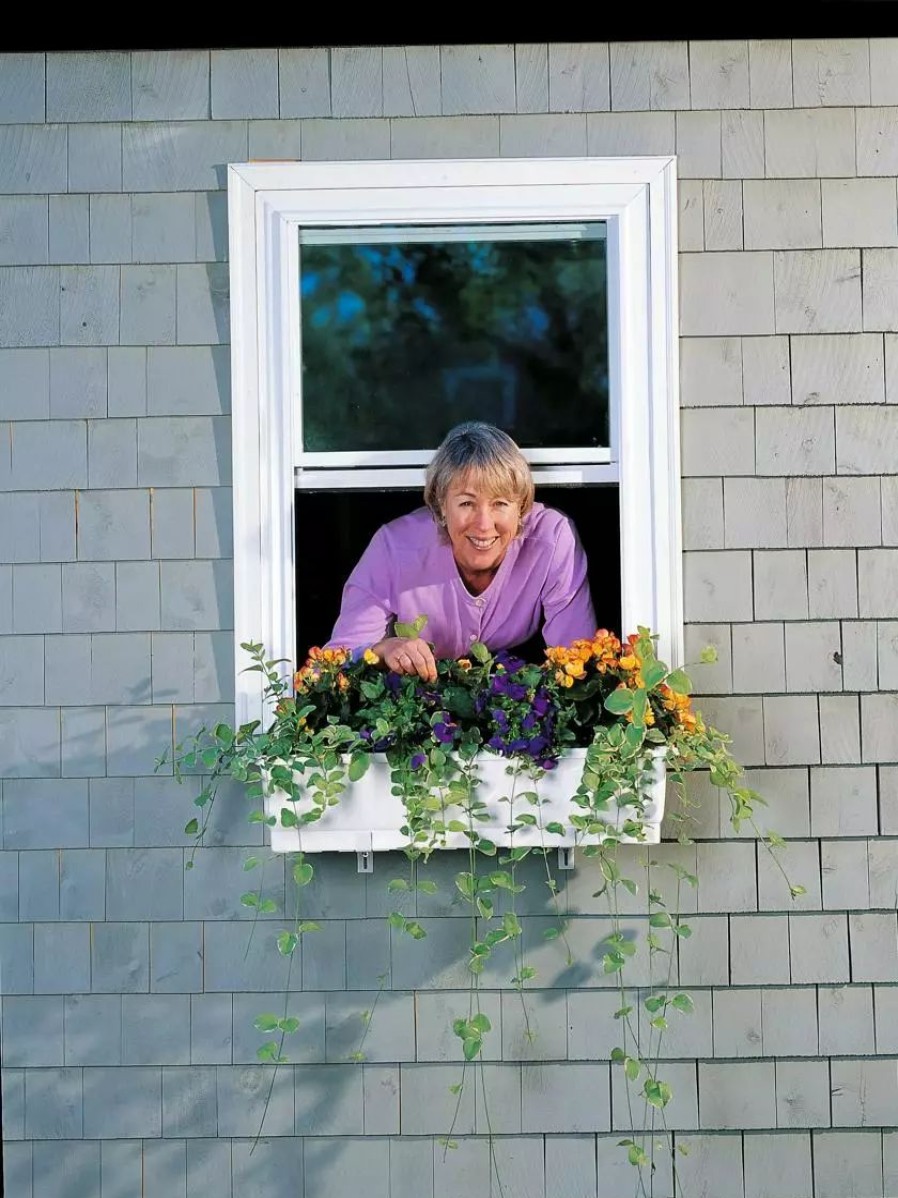 Planters & Raised Beds * | Gsc 31 Self-Watering Window Box