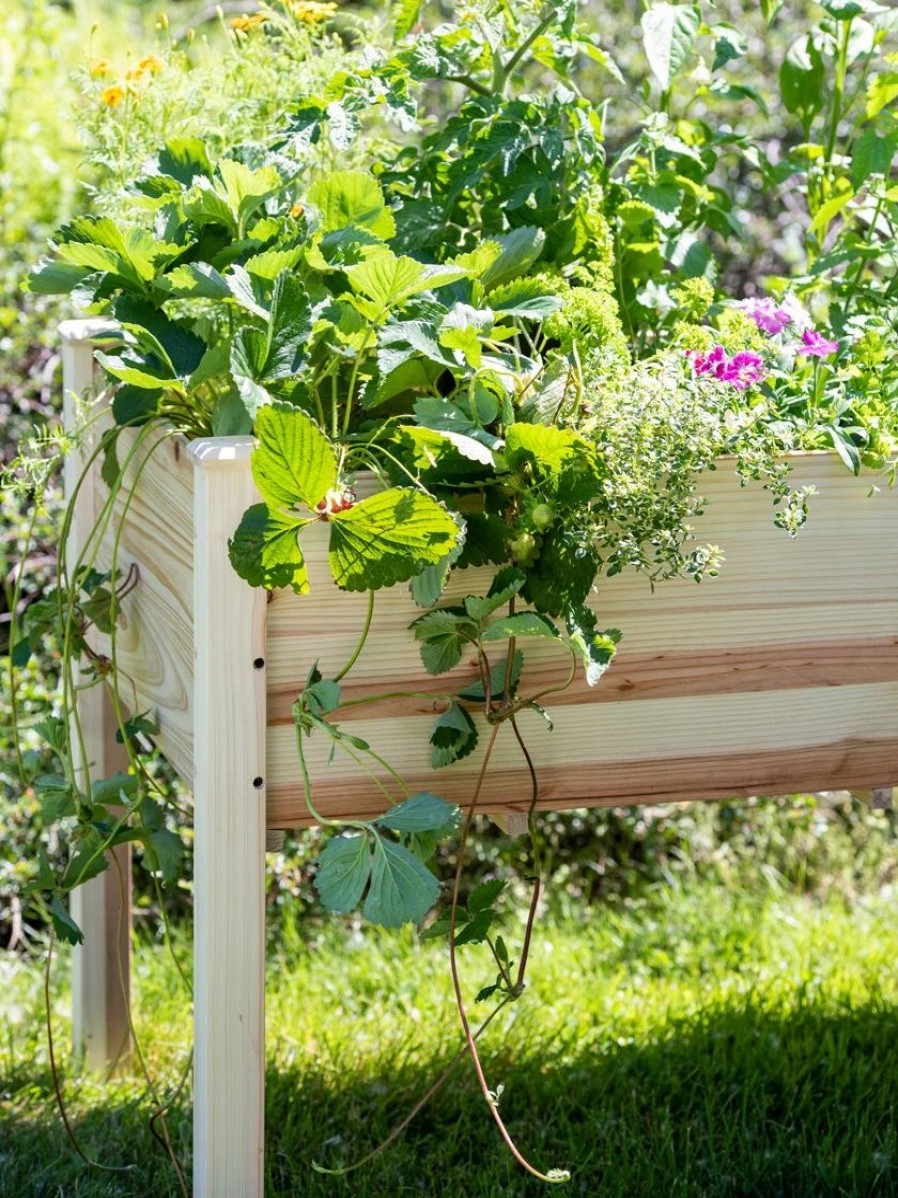 Planters & Raised Beds * | Gsc Standing Garden Bed