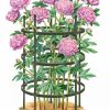 Plant Supports * | Gsc Titan Peony Supports, Large, Set Of 2