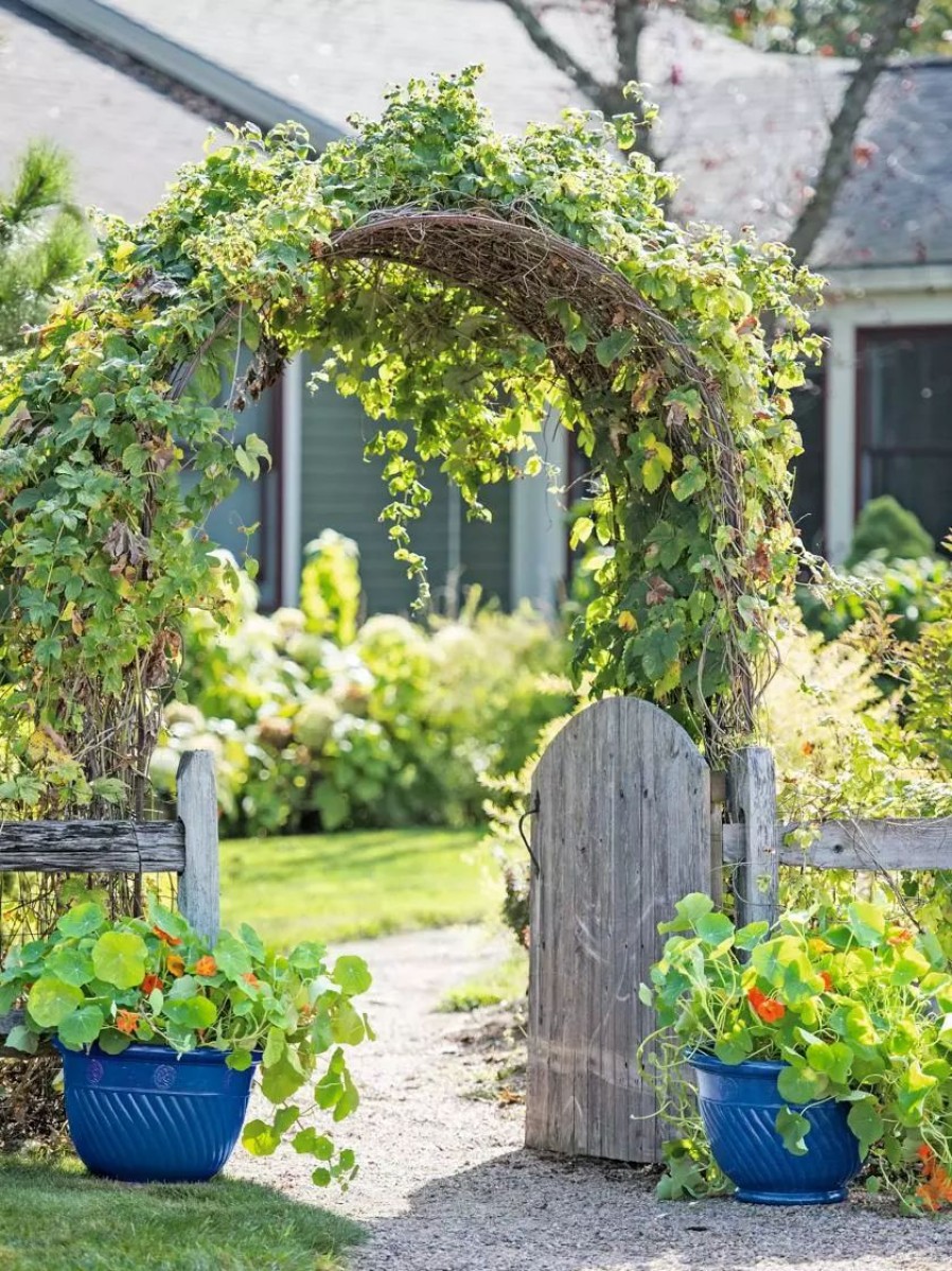 Planters & Raised Beds * | Gsc Mazzano Self-Watering Planters