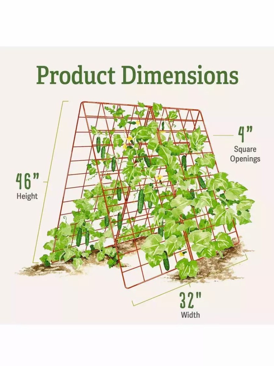 Plant Supports * | Gsc Deluxe Cucumber Trellis