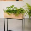 Planters & Raised Beds * | Gsc Tartu Elevated Rectangular Planter