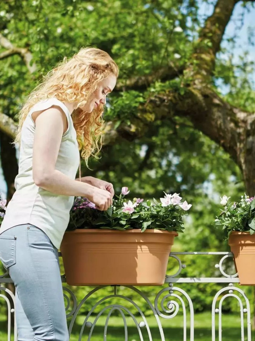 Planters & Raised Beds * | Gsc Exaco Trading Corsica Oval Bridge Planter With Cover