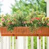 Planters & Raised Beds * | Gsc 39 Self-Watering Window Box