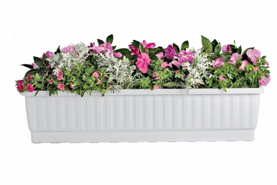 Planters & Raised Beds * | Gsc 39 Self-Watering Window Box