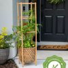 Planters & Raised Beds * | Gsc Elevated Bamboo Tomato Planter And Trellis