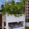 Planters & Raised Beds * | Prp Cambridge Elevated Planter