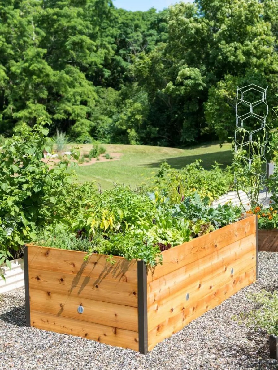 Planters & Raised Beds * | Gsc Elevated Raised Bed, 4 X 8