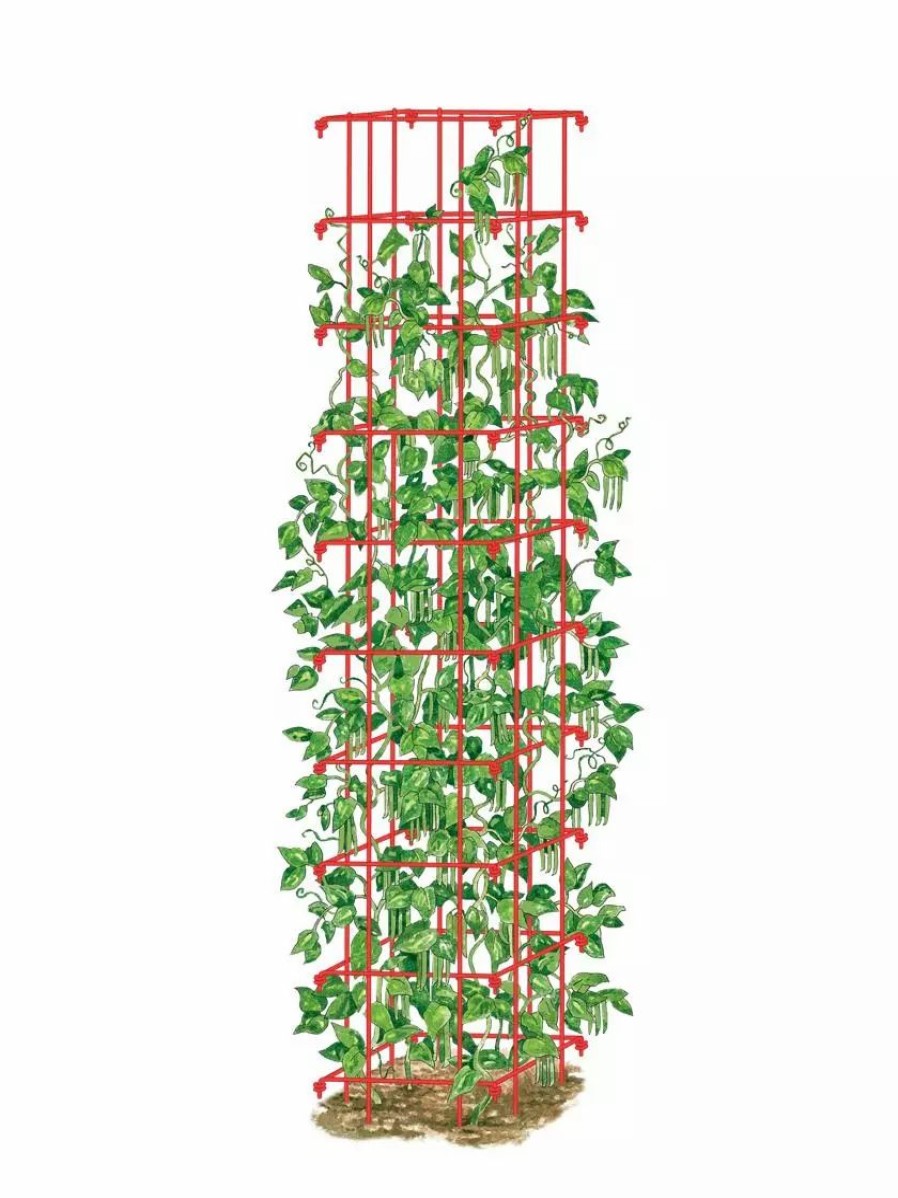 Plant Supports * | Gsc Bean Tower