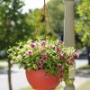 Planters & Raised Beds * | Gsc Self-Watering Hanging Basket