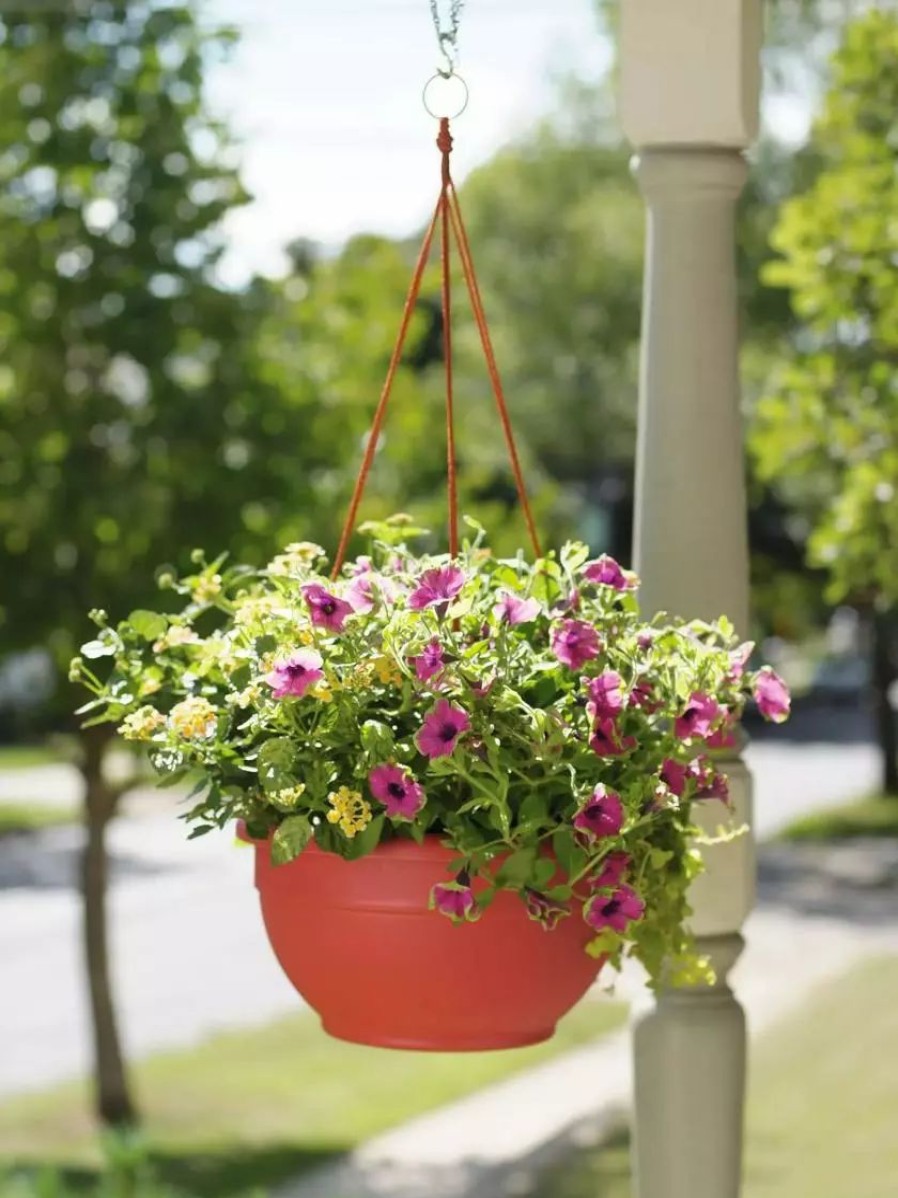 Planters & Raised Beds * | Gsc Self-Watering Hanging Basket