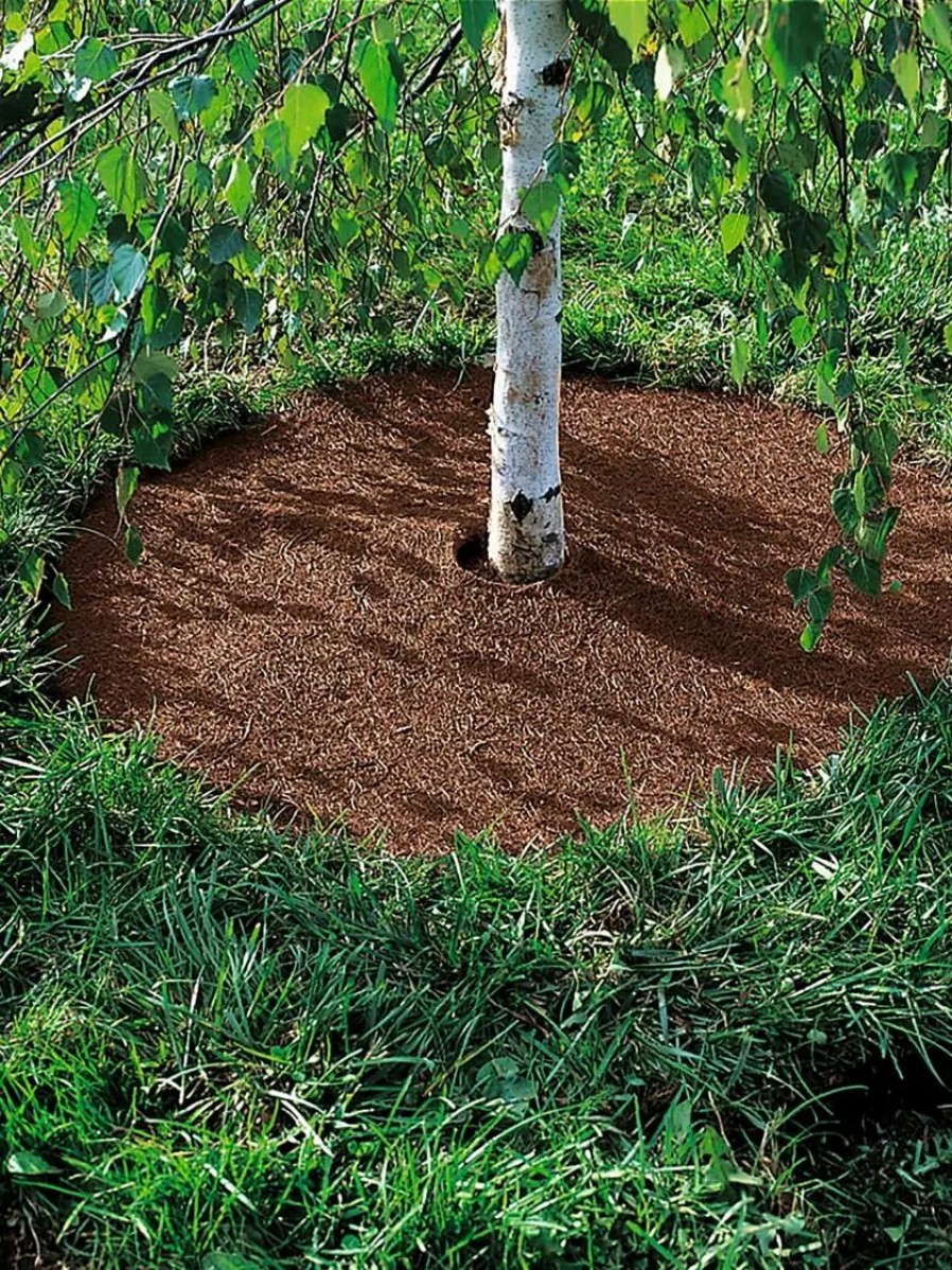 Landscaping Tools & Supplies * | Gsc Coco Coir Tree Rings, Set Of 2