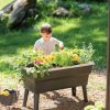 Planters & Raised Beds * | Gsc Calipso 3-In-1 Kids Gardening Self-Watering Planter Kit