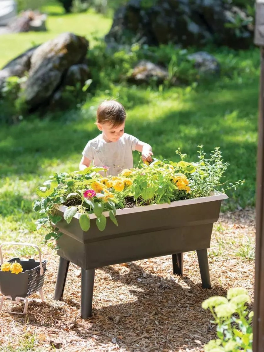 Planters & Raised Beds * | Gsc Calipso 3-In-1 Kids Gardening Self-Watering Planter Kit