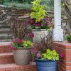 Planters & Raised Beds * | Gsc Cortina Self-Watering Planters