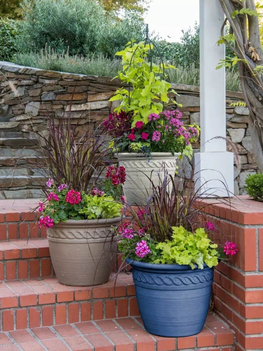 Planters & Raised Beds * | Gsc Cortina Self-Watering Planters