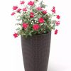 Planters & Raised Beds * | Gsc Weave Self-Watering Round Tall Planter, 12-1/2