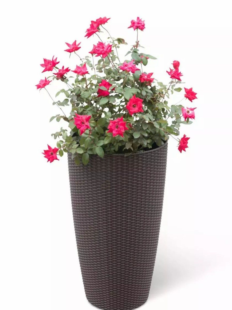 Planters & Raised Beds * | Gsc Weave Self-Watering Round Tall Planter, 12-1/2