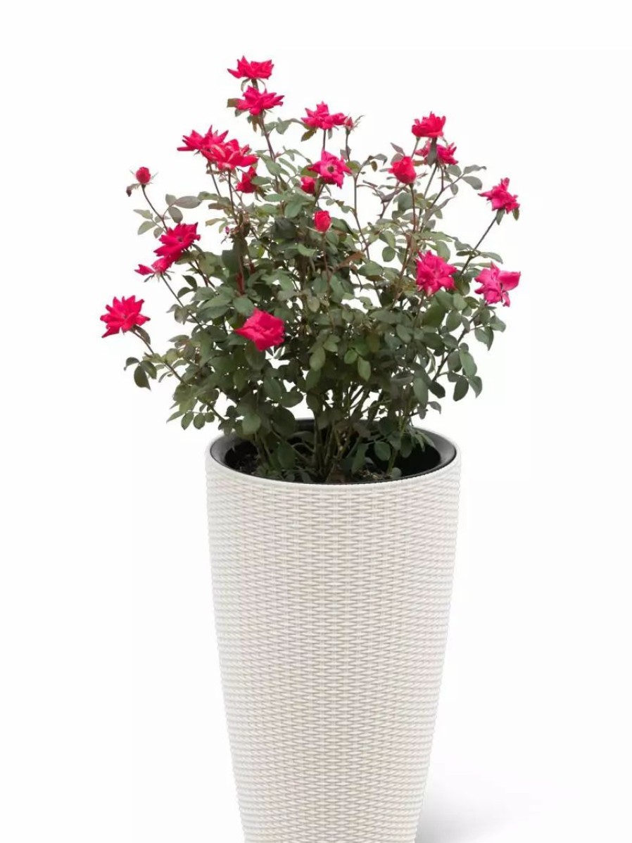 Planters & Raised Beds * | Gsc Weave Self-Watering Round Tall Planter, 12-1/2