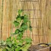 Plant Supports * | Gsc Wire A-Frame Trellis