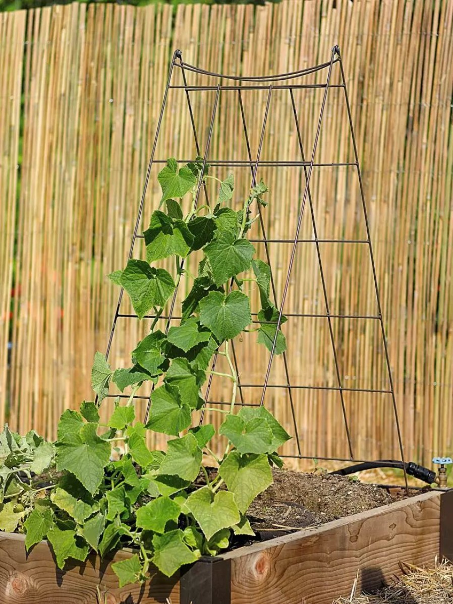 Plant Supports * | Gsc Wire A-Frame Trellis