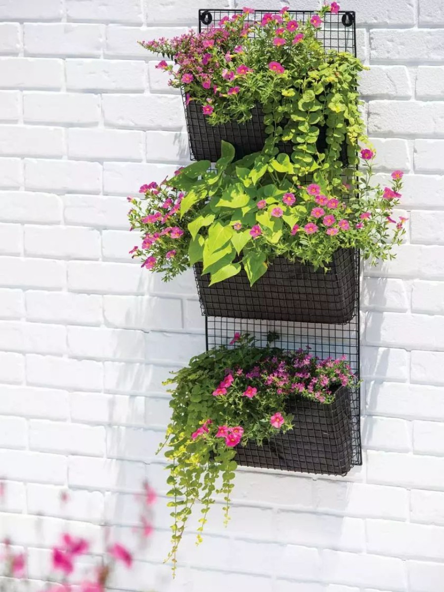 Planters & Raised Beds * | Gsc Wire Wall Pockets Vertical Gardens