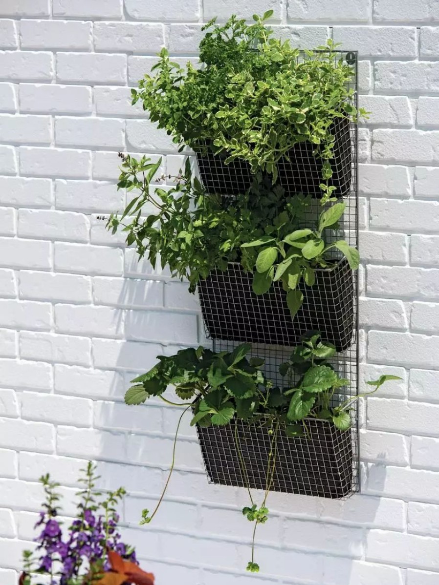 Planters & Raised Beds * | Gsc Wire Wall Pockets Vertical Gardens