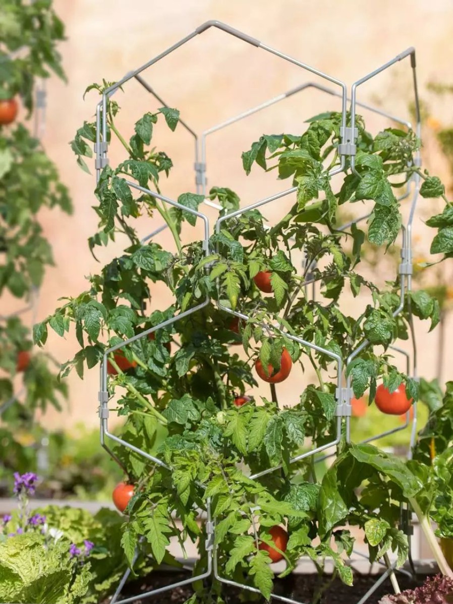 Plant Supports * | Gsc Gardener'S Vertex Lifetime Tomato Cage Natural Aluminum