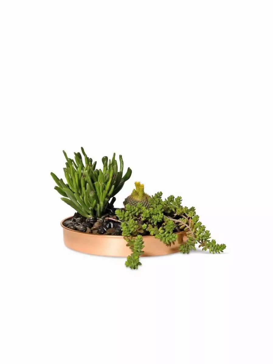 Planters & Raised Beds * | Gsc Small Round Copper Plant Tray, 10