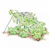 Plant Supports * | Gsc Large Cucumber Trellis