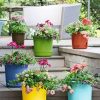 Planters & Raised Beds * | Gsc Eezy Gro Self-Watering Planters