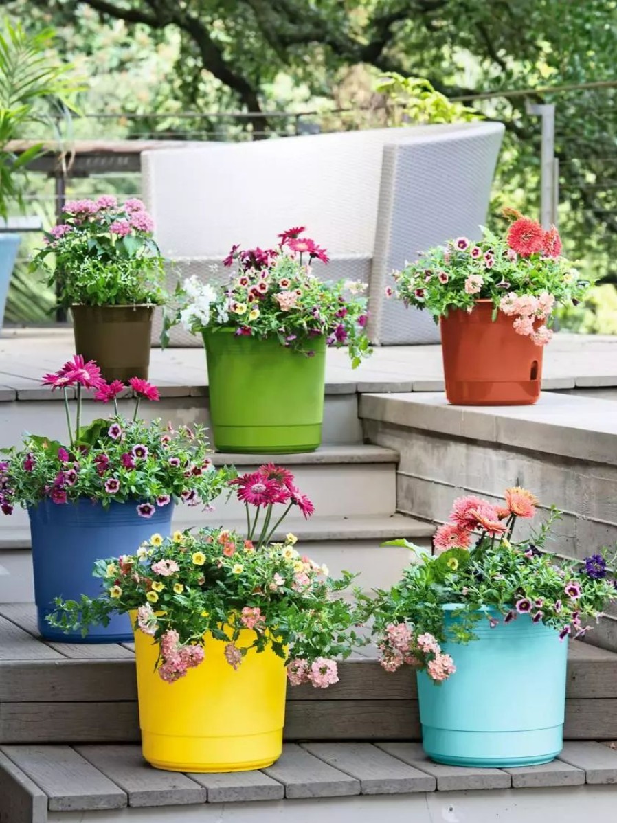 Planters & Raised Beds * | Gsc Eezy Gro Self-Watering Planters