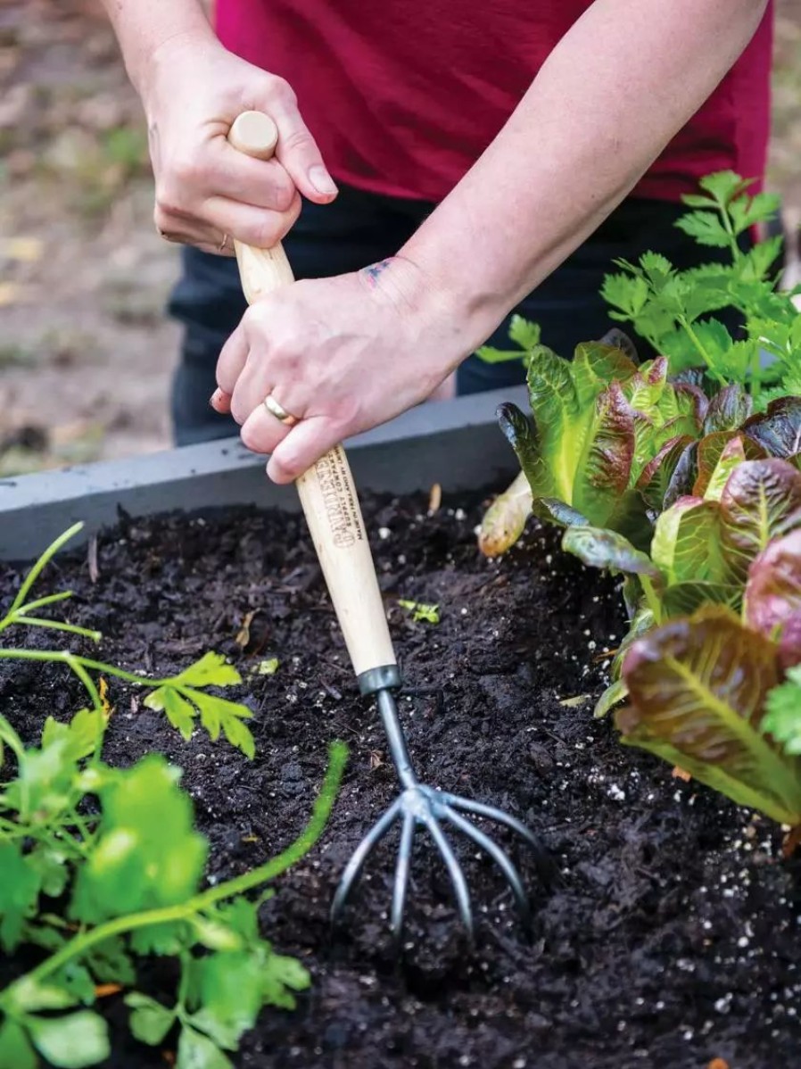 Garden Tools * | Gsc Gardener'S Lifetime 5-Tine T-Grip Raised Bed Cultivator