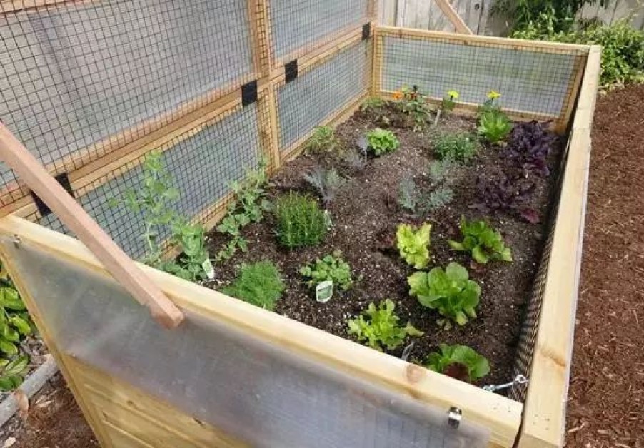 Planters & Raised Beds * | Gsc Garden In A Box Cedar Raised Bed With Greenhouse, 3 X 6