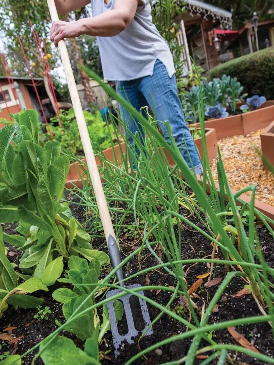 Garden Tools * | Gsc Gardener'S Lifetime Spork