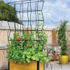 Planters & Raised Beds * | Gsc Self-Watering Partition Planter