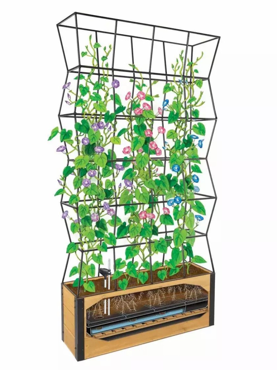 Planters & Raised Beds * | Gsc Self-Watering Partition Planter