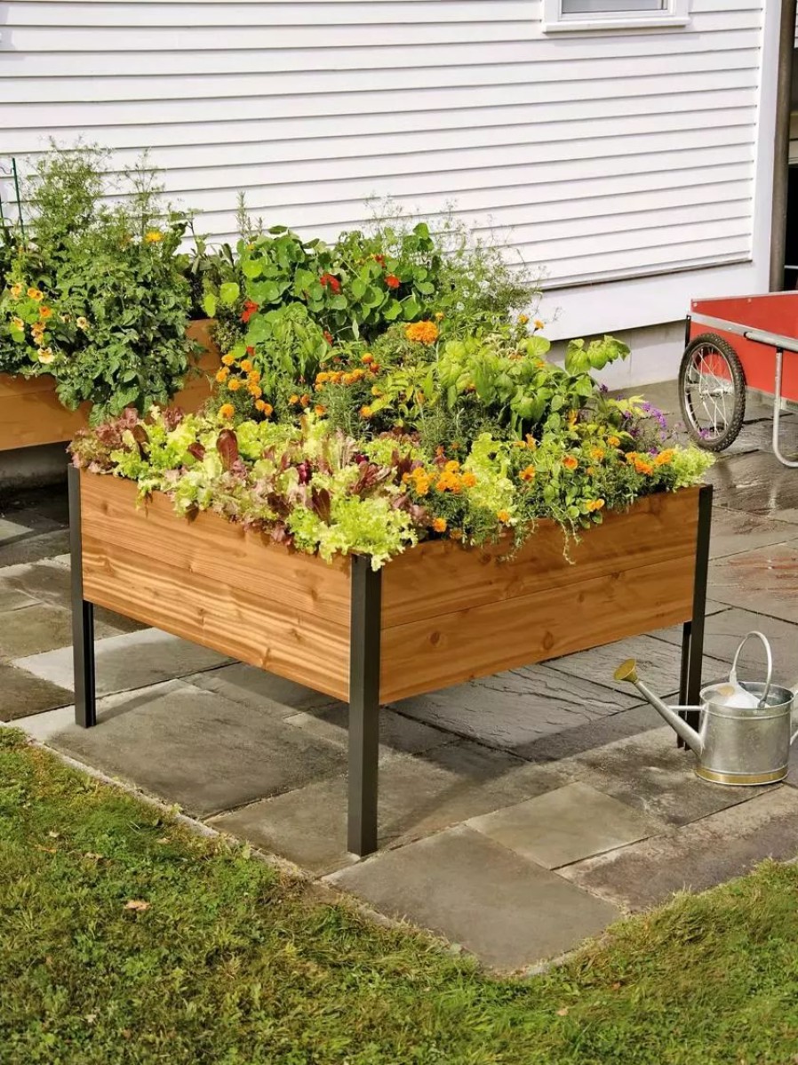 Planters & Raised Beds * | Gsc 4 X 4 Elevated Planter Box