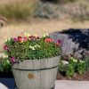 Planters & Raised Beds * | Gsc Vegtrug Build-A-Barrel Wooden Planter With Self-Watering Reservoir Tray, 18