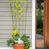 Plant Supports * | Gsc Flock Of Friends Pot Trellis