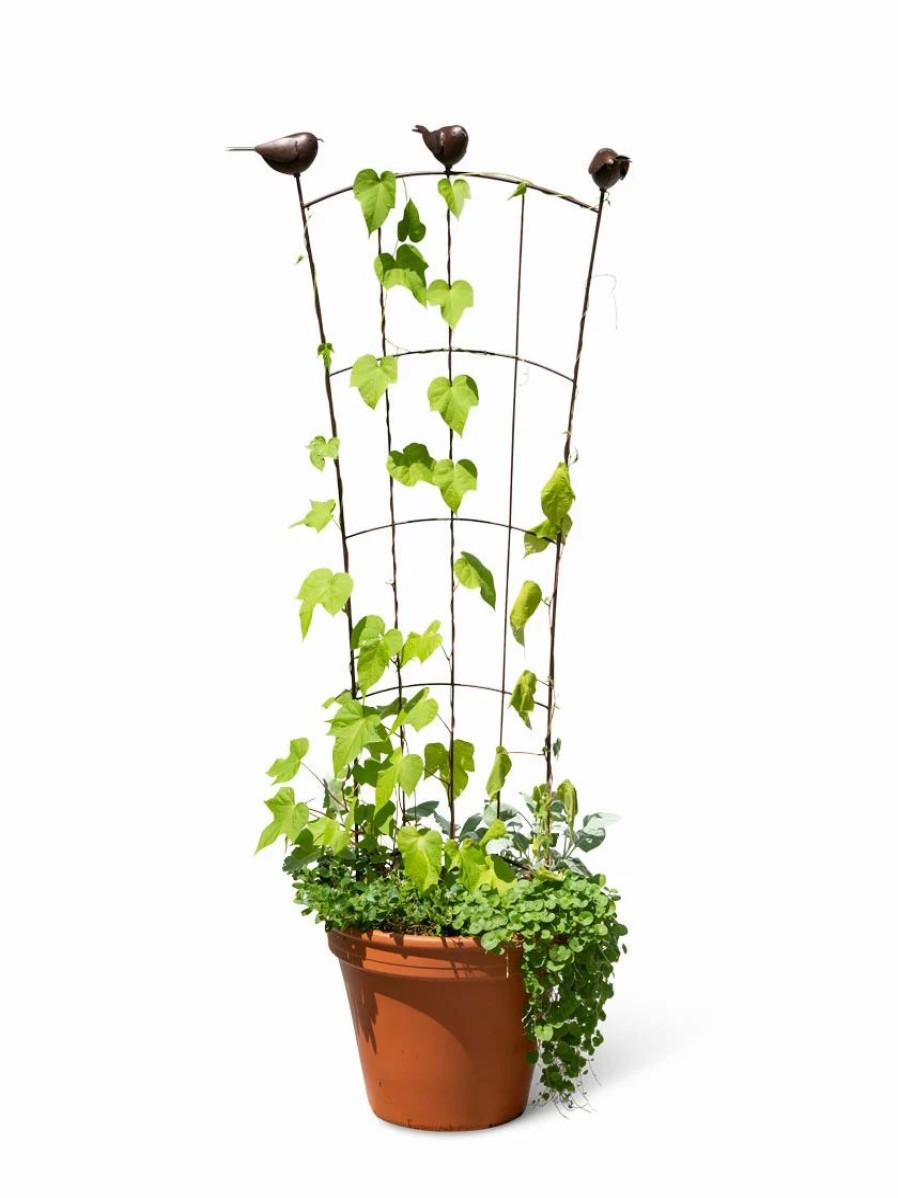 Plant Supports * | Gsc Flock Of Friends Pot Trellis